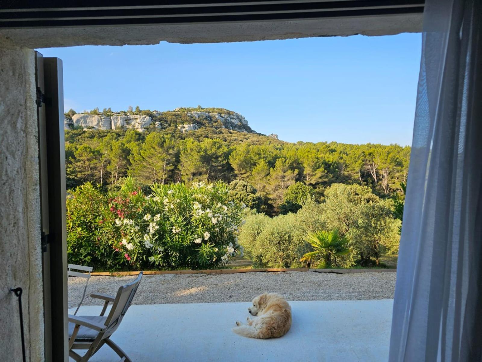 Bed and Breakfast Mas De La Fadeto Les Baux-de-Provence Exterior foto